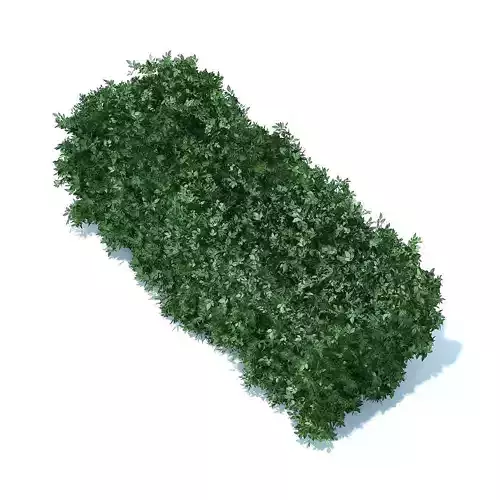 Straight Hedge