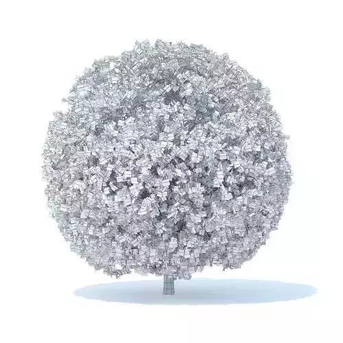 Spherical Shrub