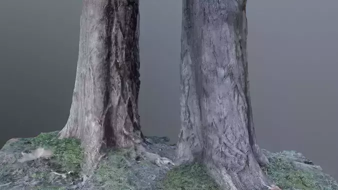 Tree trunk photoscanned Low-poly 3D model