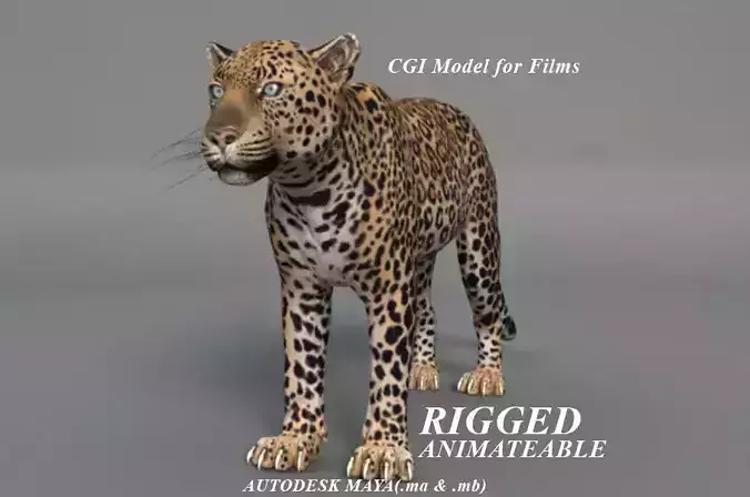 Rigged Leopard Maya 3D Model with 2K Textures