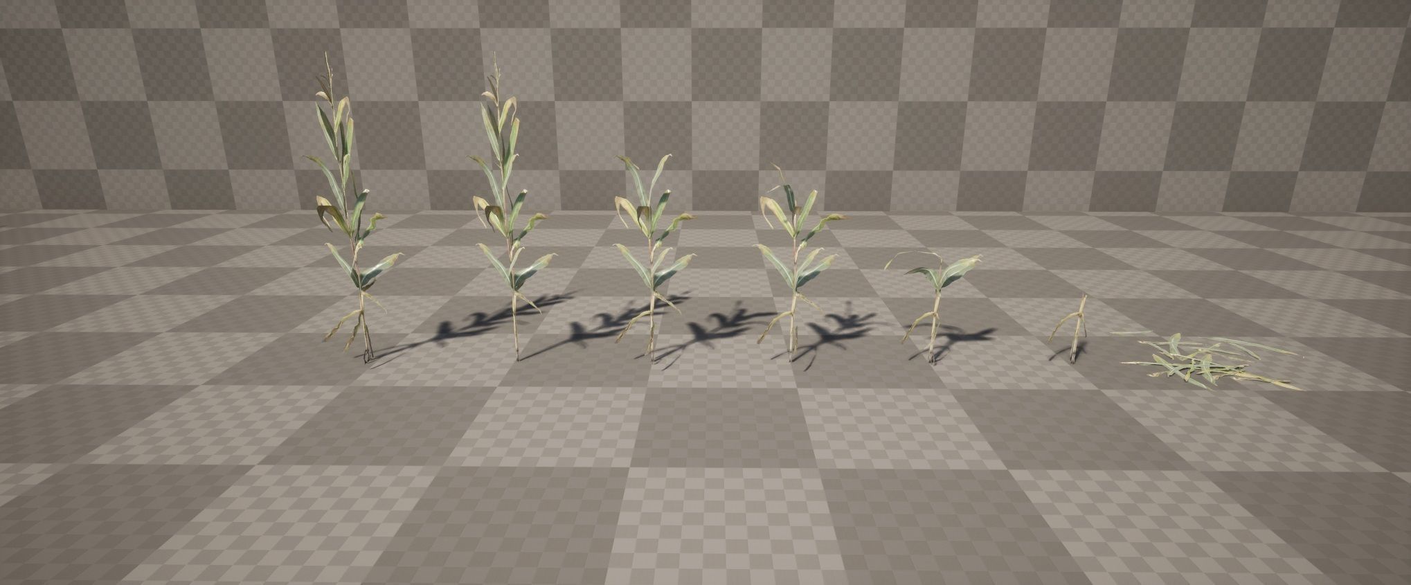 Realistic Optimized Corn Pack Low-poly 3D model_11