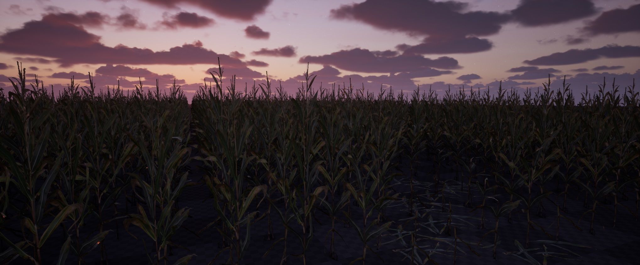 Realistic Optimized Corn Pack Low-poly 3D model_4