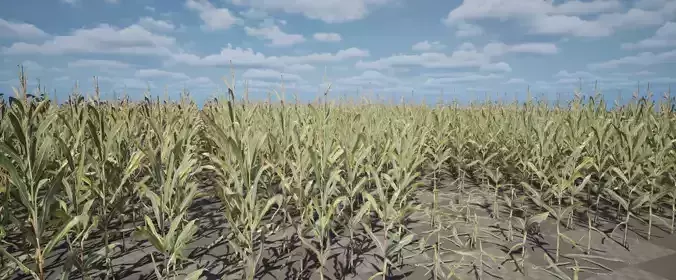 Realistic Optimized Corn Pack Low-poly 3D model