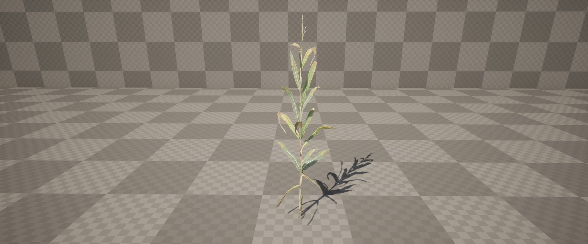 Realistic Optimized Corn Pack Low-poly 3D model_5