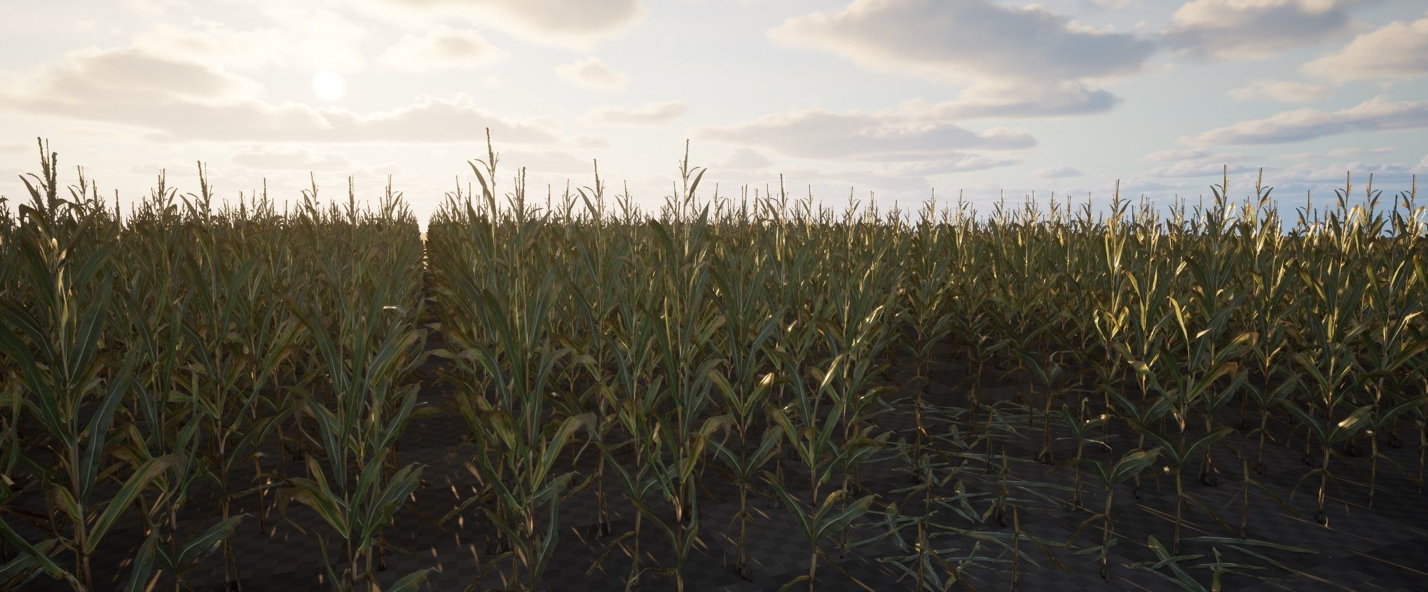 Realistic Optimized Corn Pack Low-poly 3D model_3