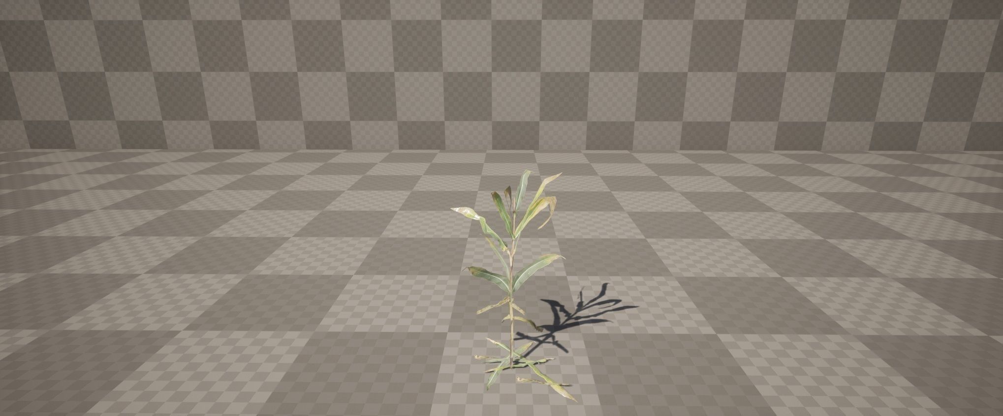 Realistic Optimized Corn Pack Low-poly 3D model_8