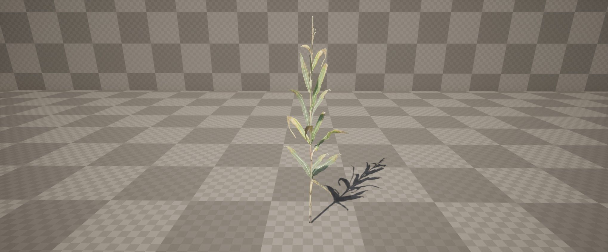 Realistic Optimized Corn Pack Low-poly 3D model_6