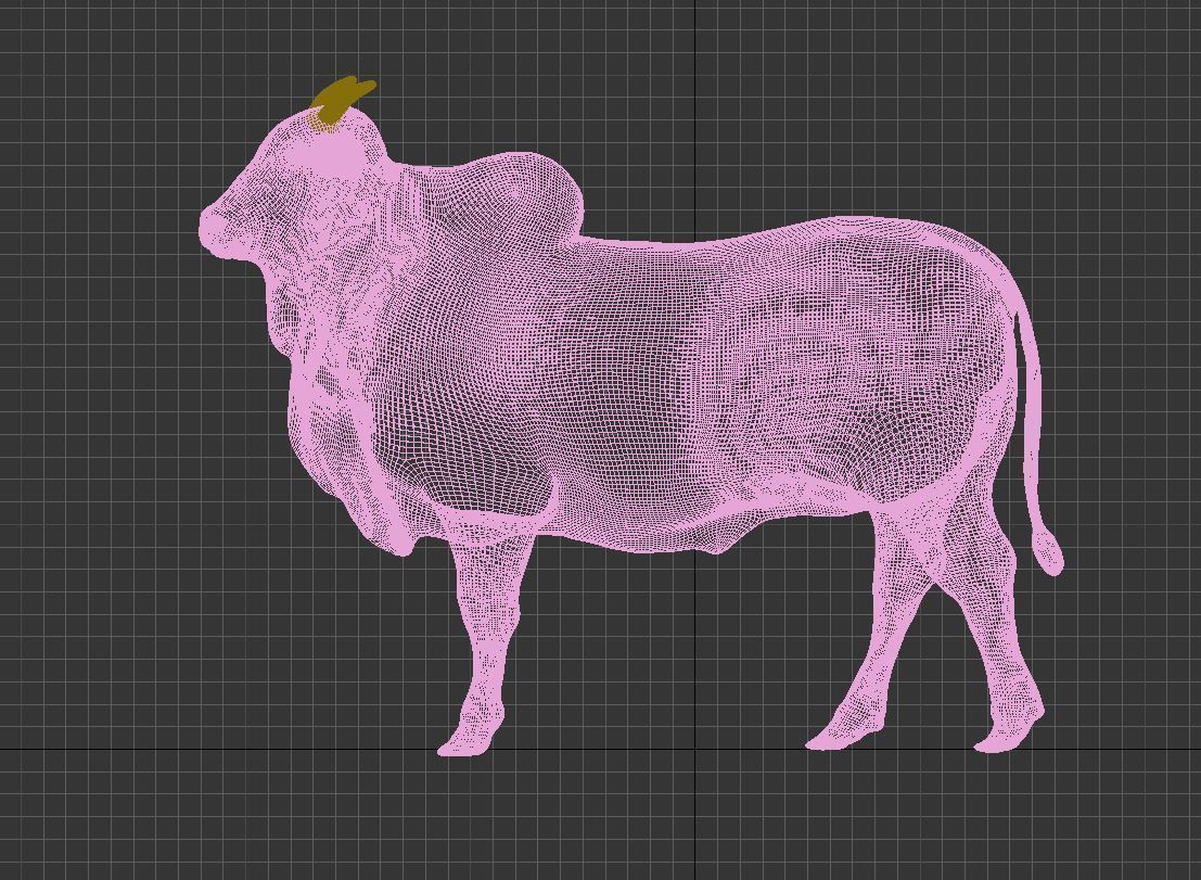 Cattle cow 3D model_4