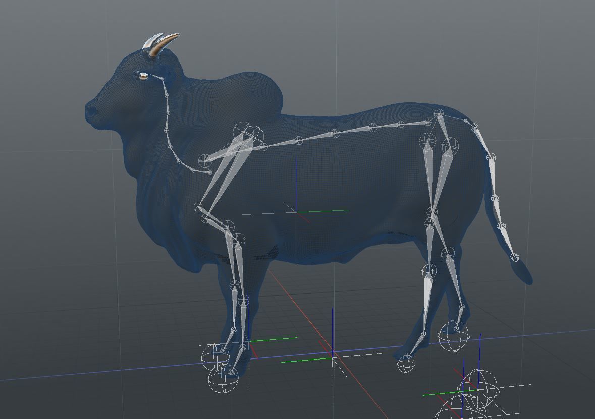 Cattle cow 3D model_7