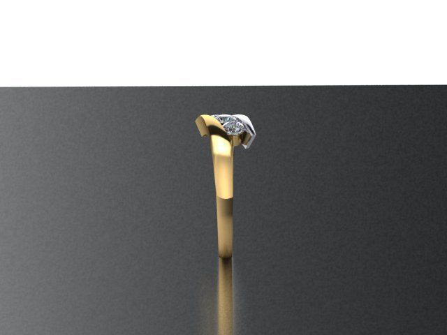 Ring bypass 2 tone 3D print model_4