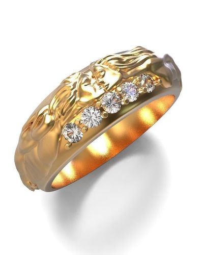 Ring carera 3dworkshop 3D print model