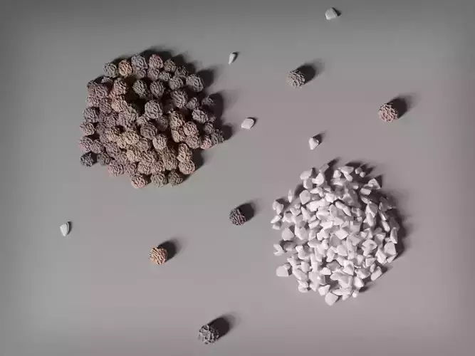 Grains of Salt and Pepper 3D model