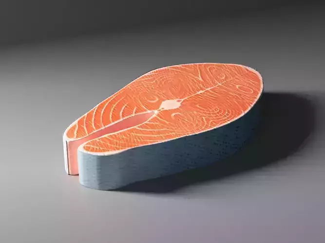 Raw Salmon Fish Steak