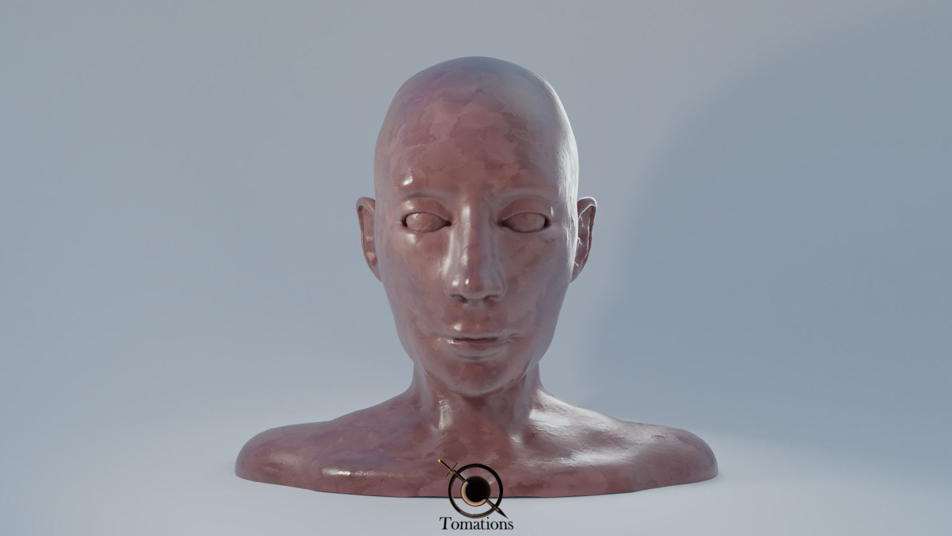 Head Sculpt Free 3D model_3