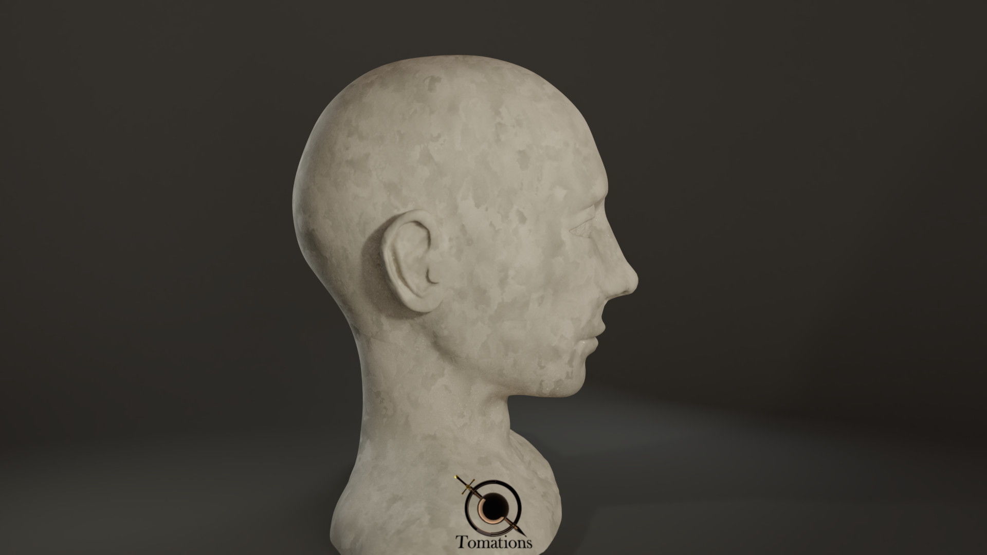 Head Sculpt Free 3D model_6