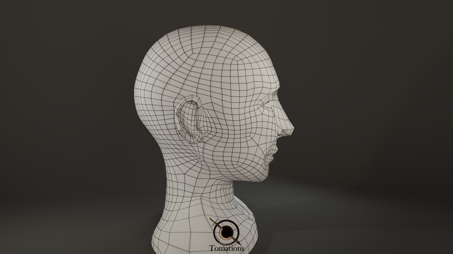 Head Sculpt Free 3D model_17
