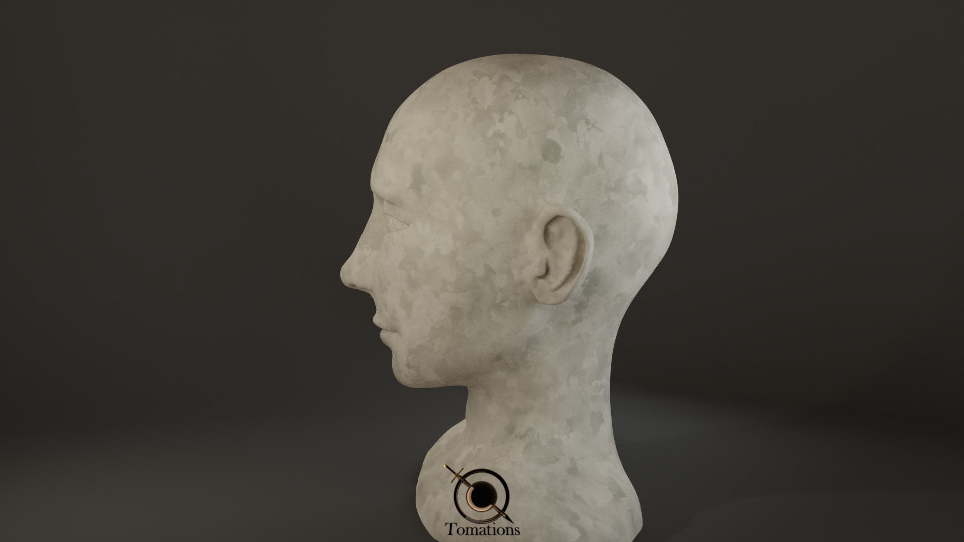 Head Sculpt Free 3D model_8