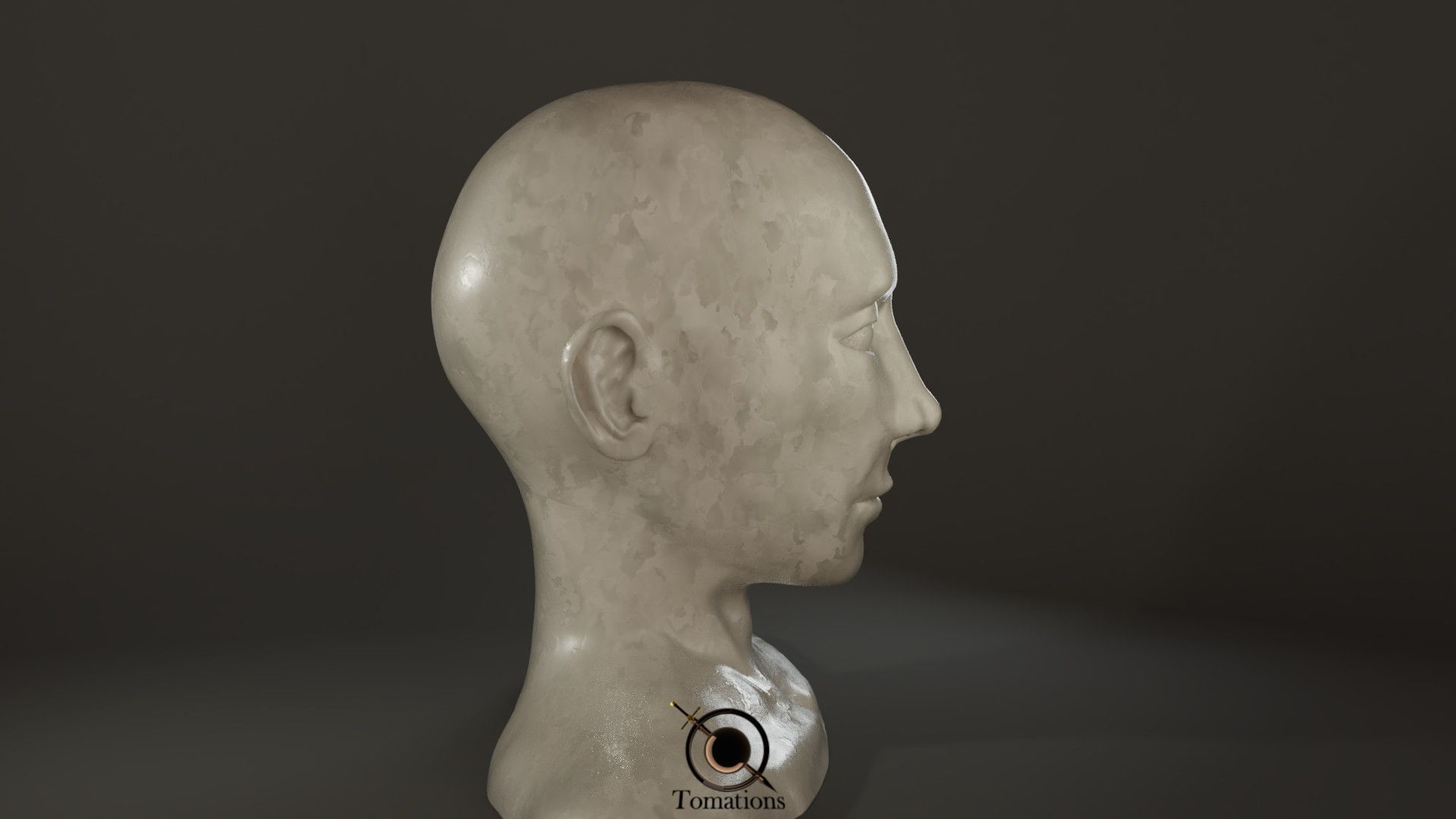 Head Sculpt Free 3D model_2