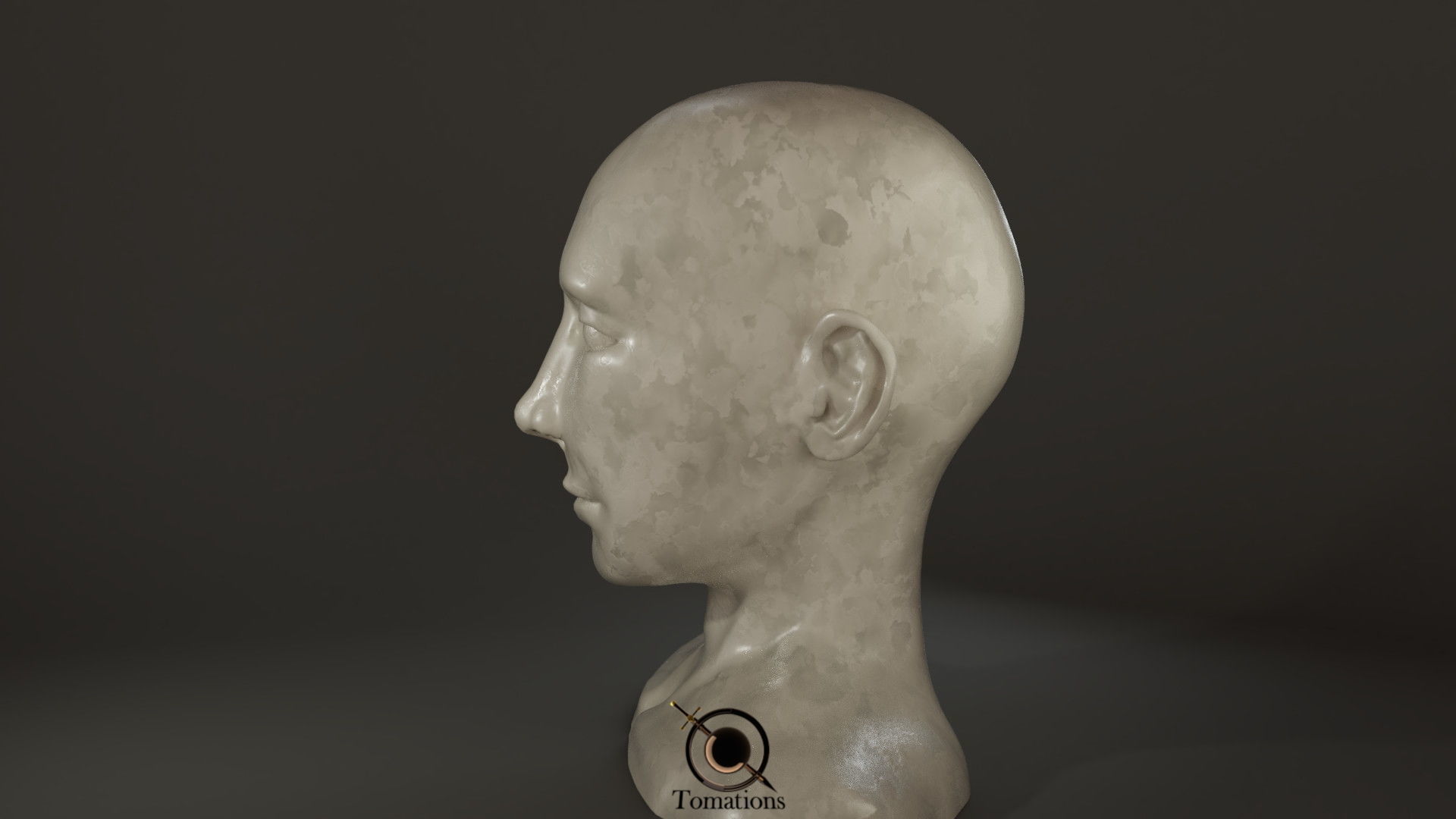 Head Sculpt Free 3D model_11