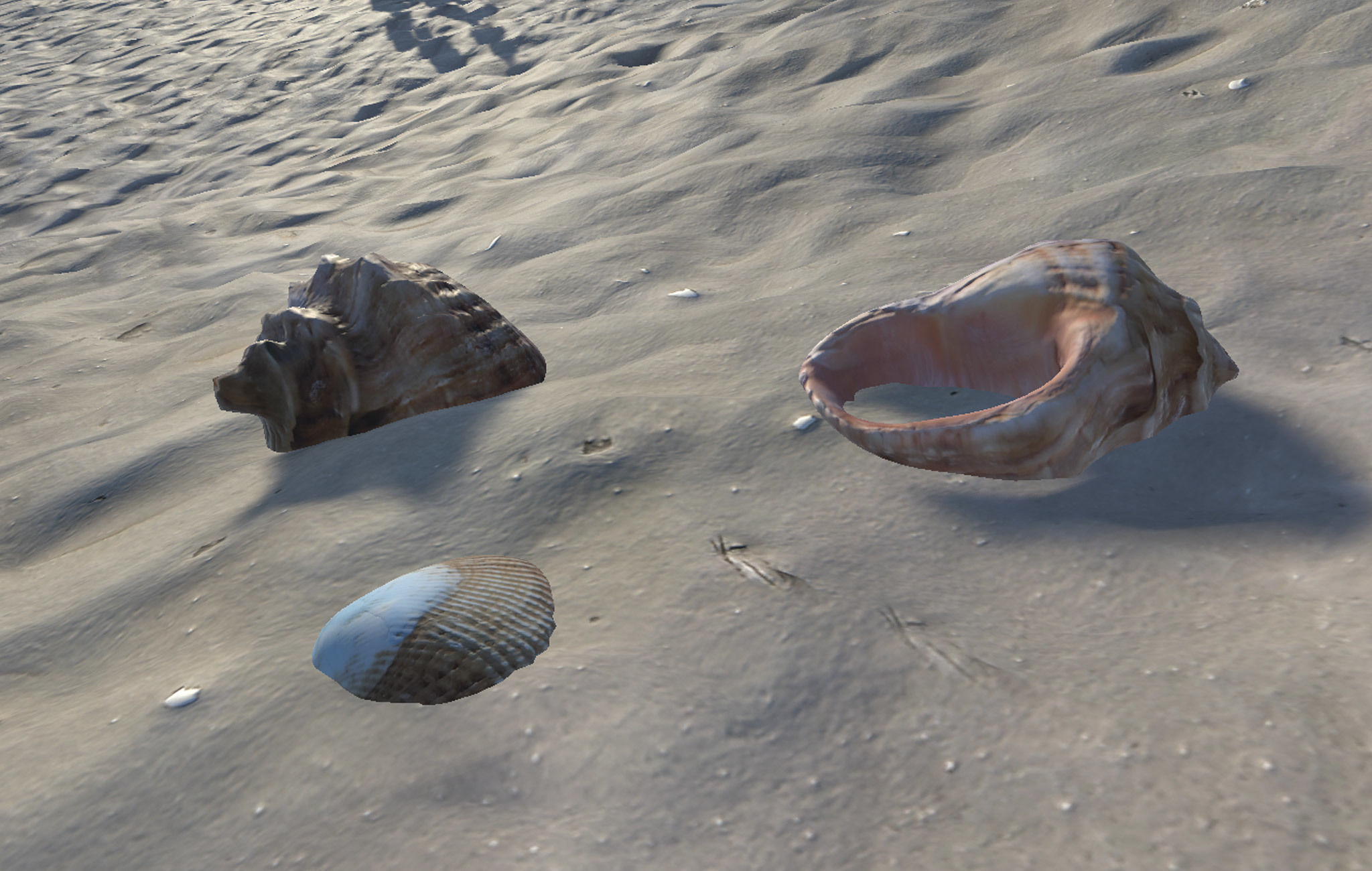 Beach Rocks and Shells Low-poly 3D model_4