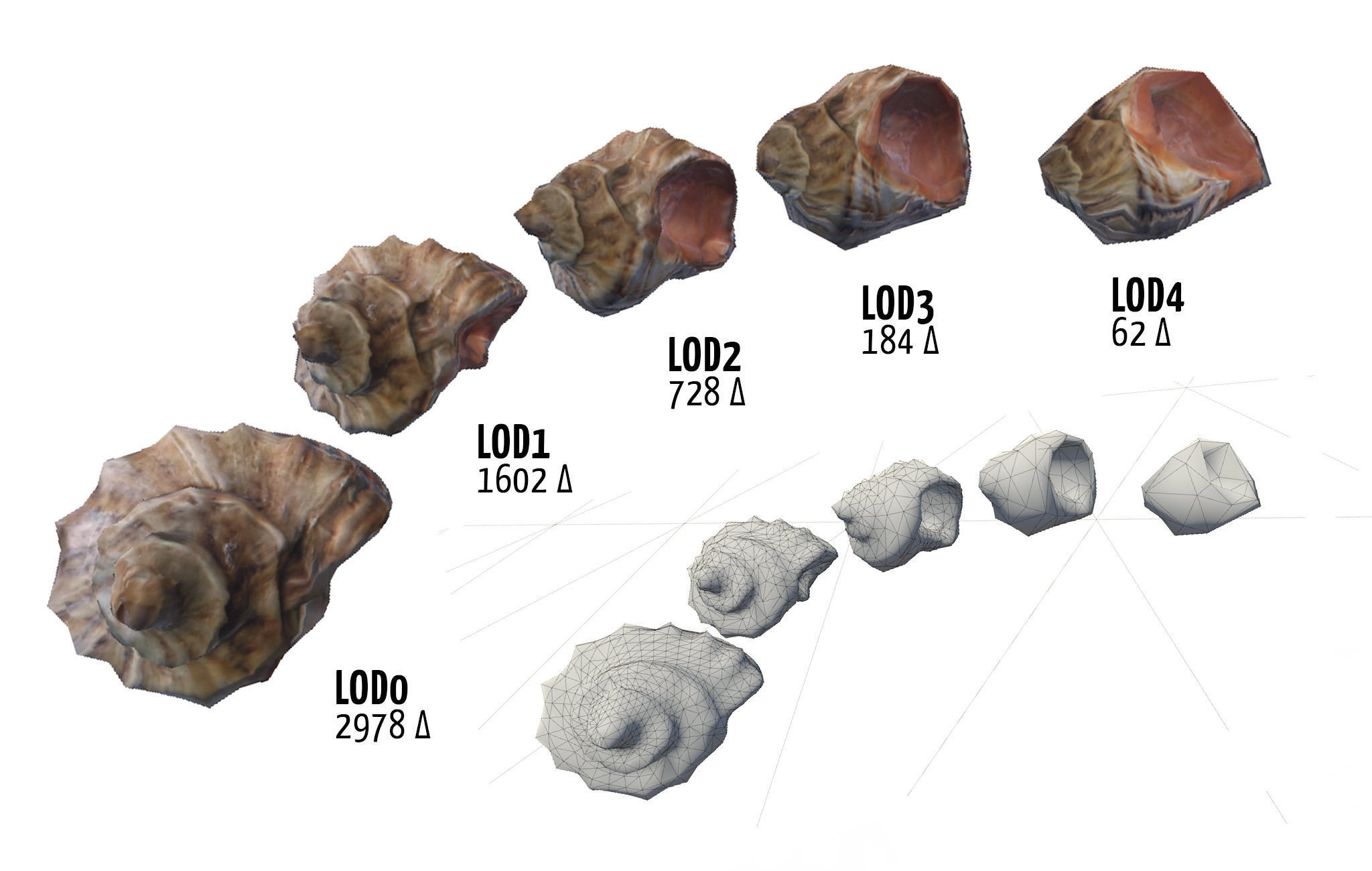 Beach Rocks and Shells Low-poly 3D model_2