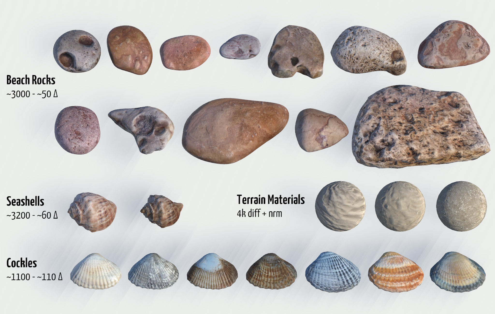 Beach Rocks and Shells Low-poly 3D model_1