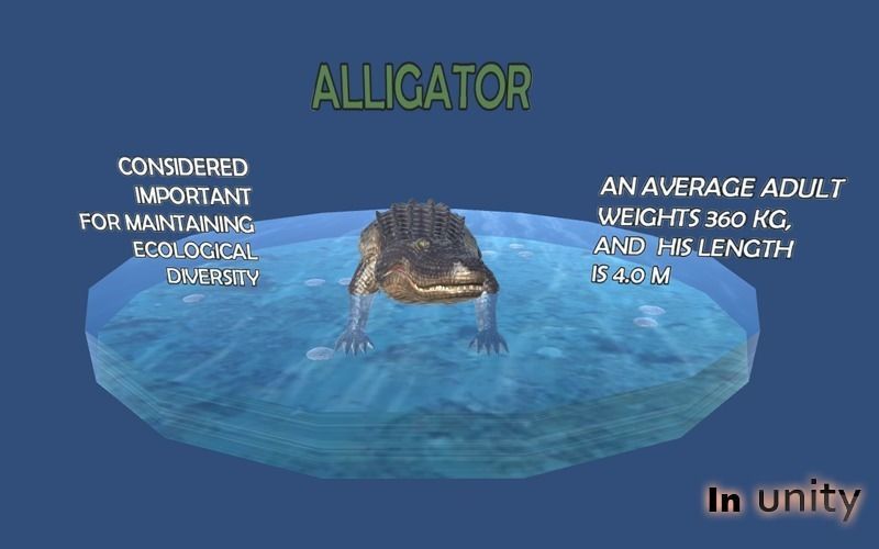 Animated Alligator AR VR Unity 3dsmax Low-poly 3D model_6