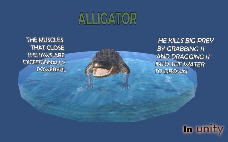 Animated Alligator AR VR Unity 3dsmax Low-poly 3D model_4