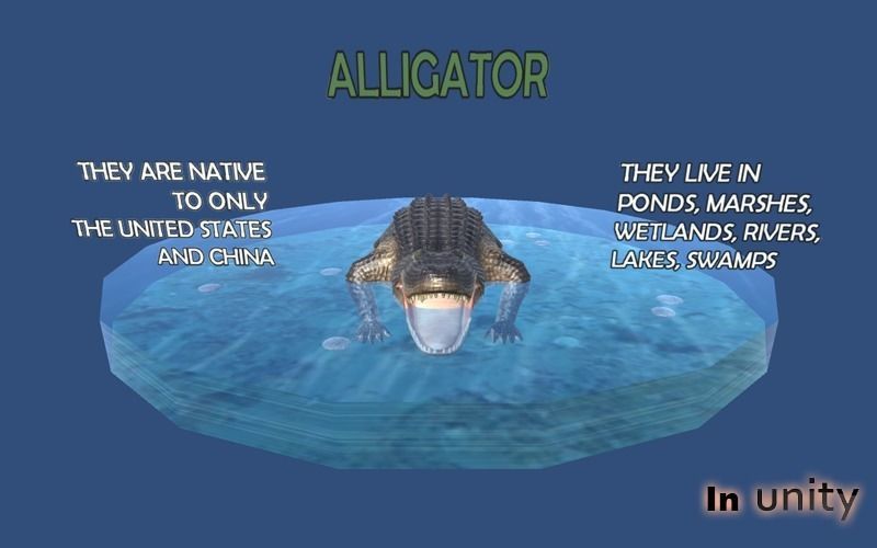 Animated Alligator AR VR Unity 3dsmax Low-poly 3D model_5