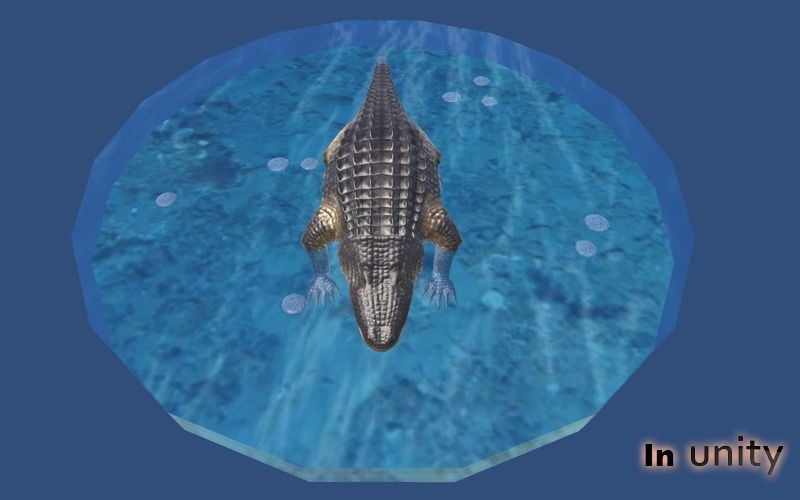 Animated Alligator AR VR Unity 3dsmax Low-poly 3D model_7