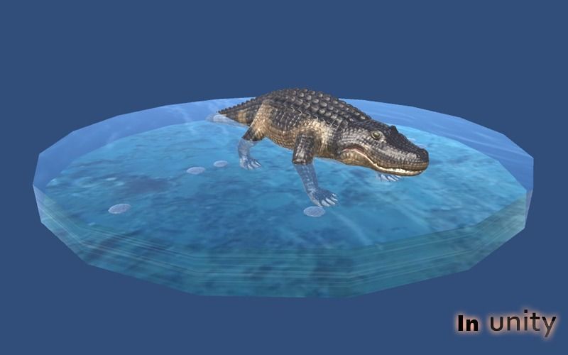 Animated Alligator AR VR Unity 3dsmax Low-poly 3D model_3