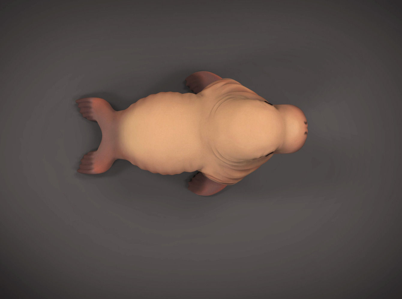 Walrus printable toy Free 3D print model_3