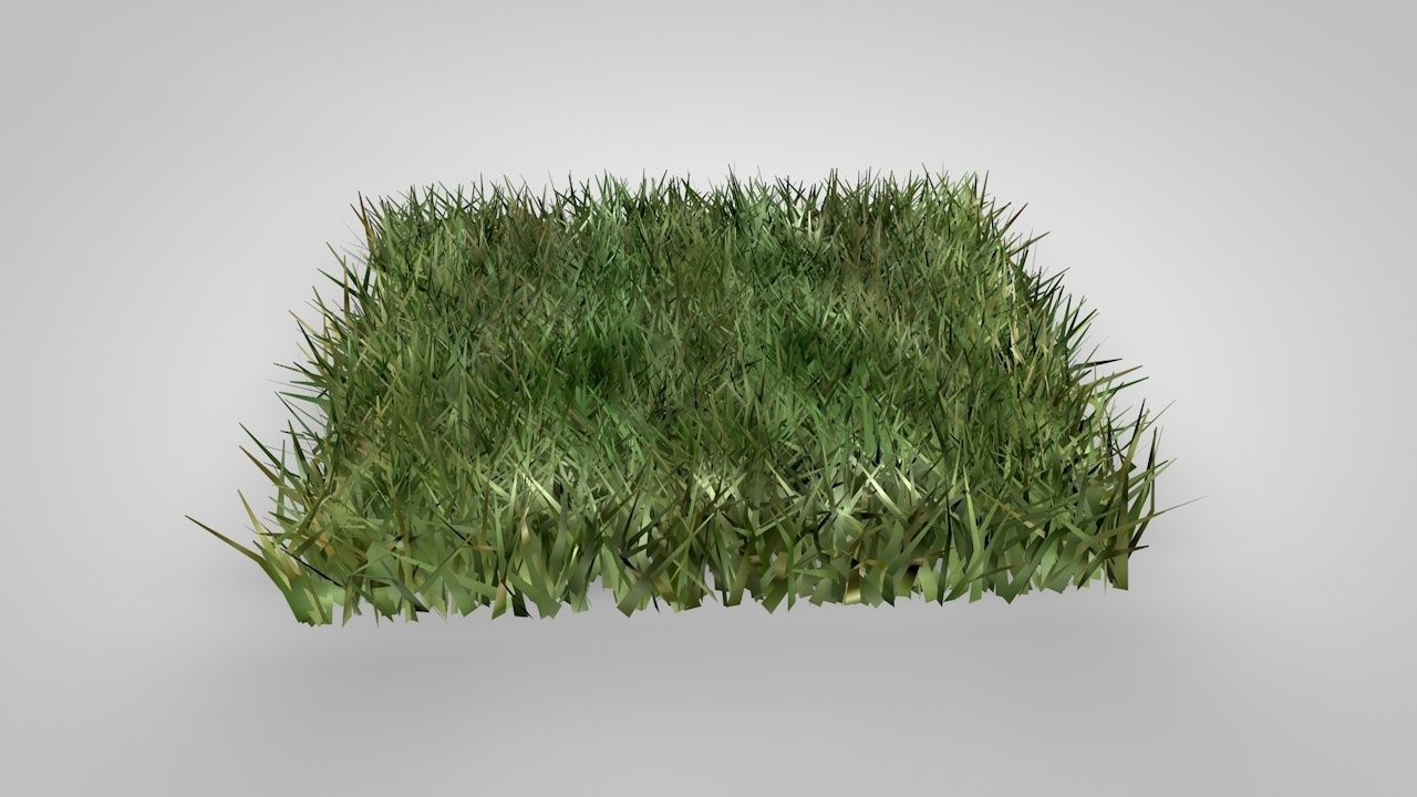 Grass Patterns 3D model_13