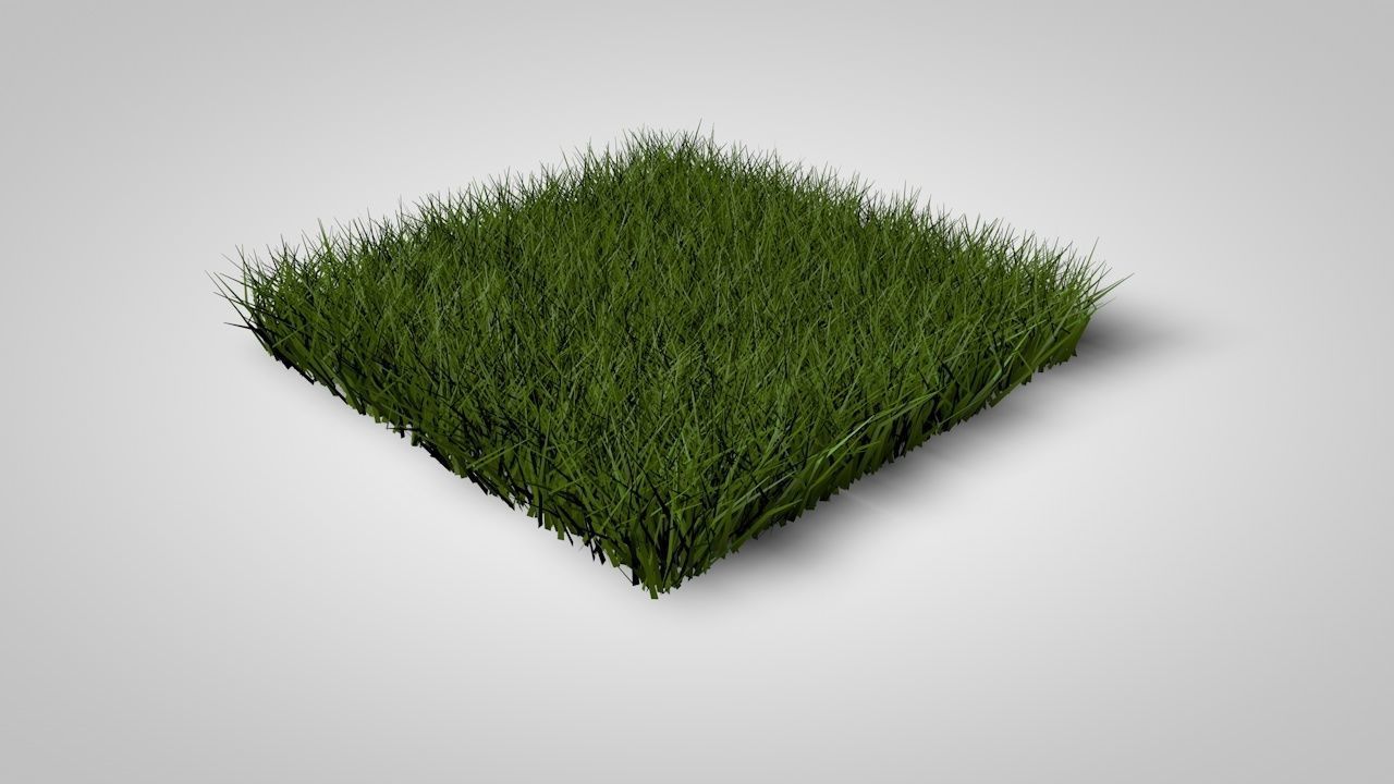 Grass Patterns 3D model_3