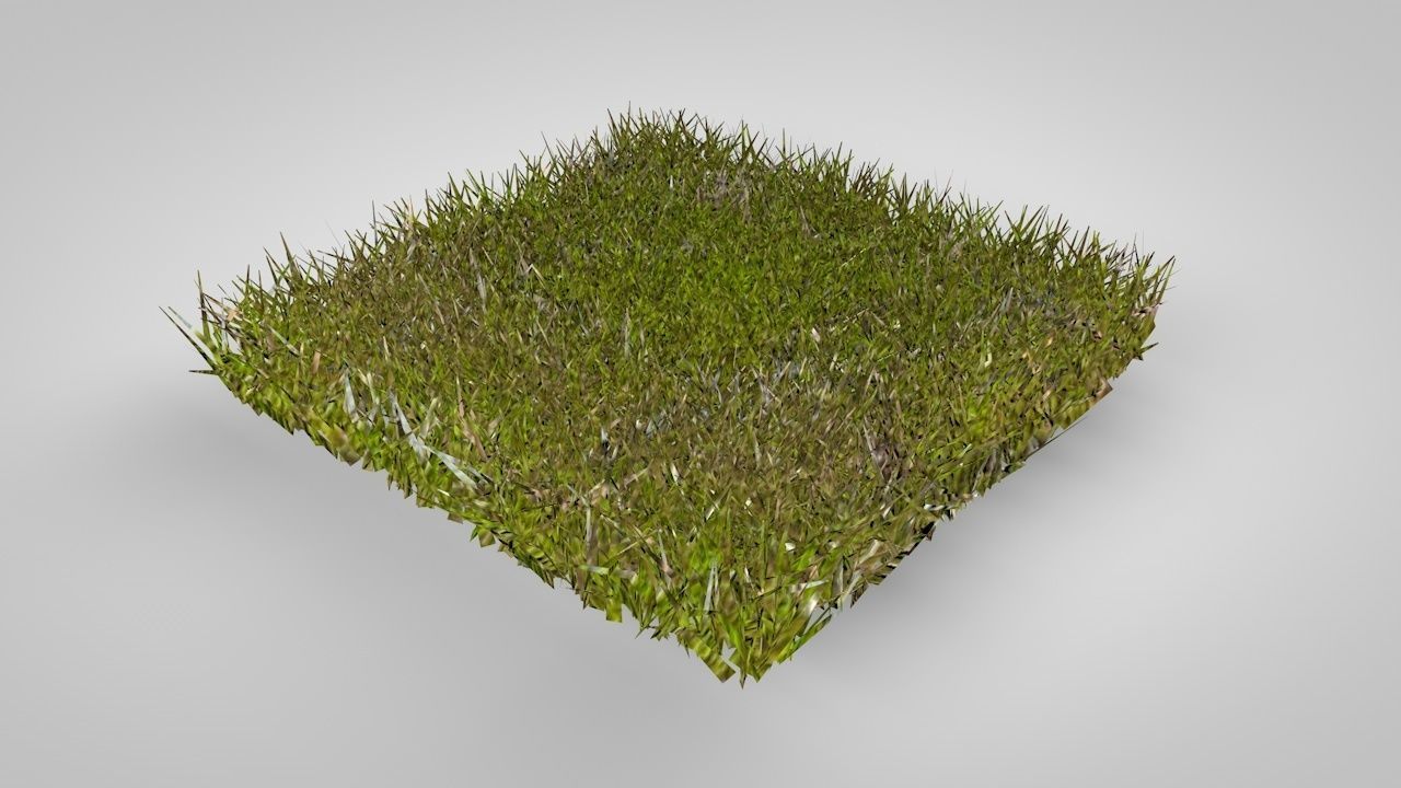 Grass Patterns 3D model_12