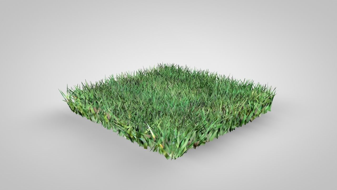 Grass Patterns 3D model_14