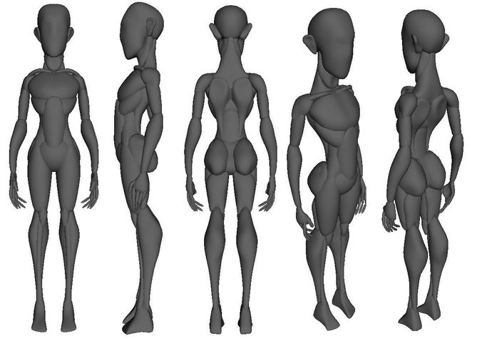 Anatomy Mannequin - Game Ready Low-poly 3D model