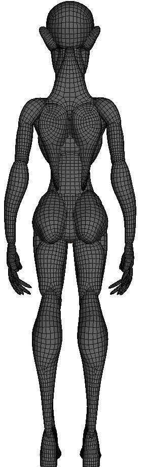 Anatomy Mannequin - Game Ready Low-poly 3D model_4