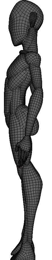 Anatomy Mannequin - Game Ready Low-poly 3D model_5