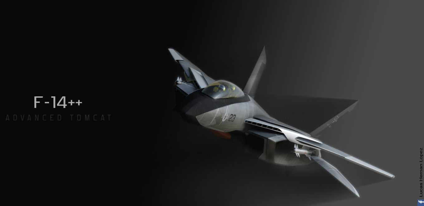 F-14  stealth concept Low-poly 3D model_6