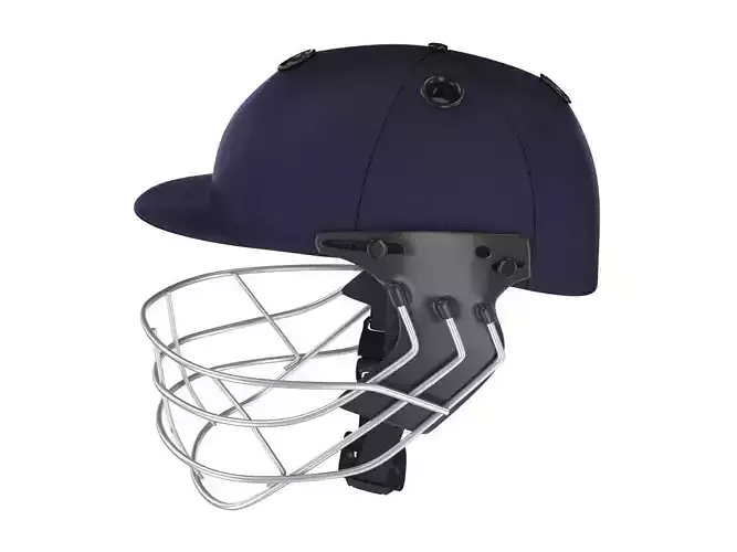 Cricket Helmet
