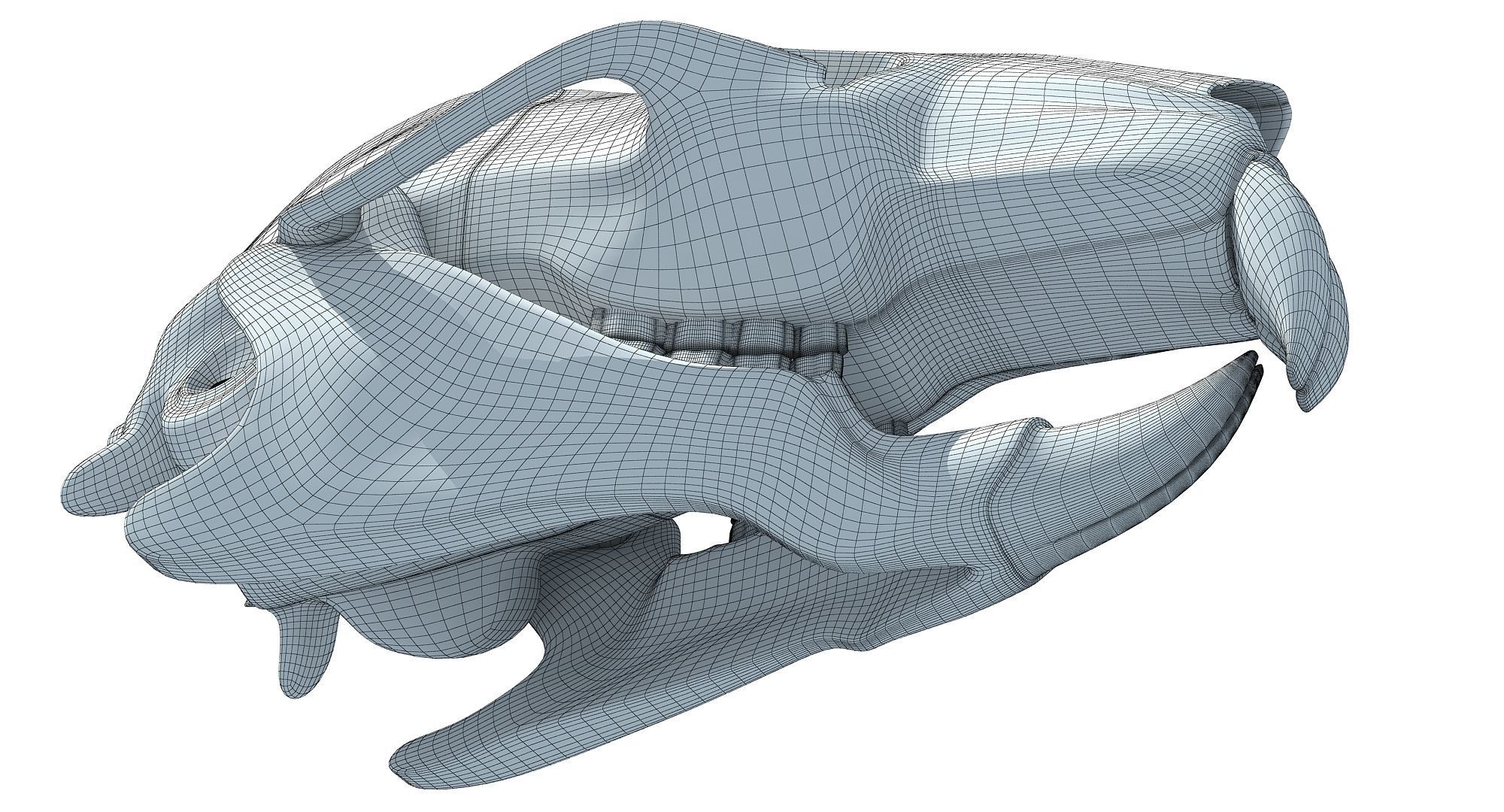 Rat Skull 3D model_10