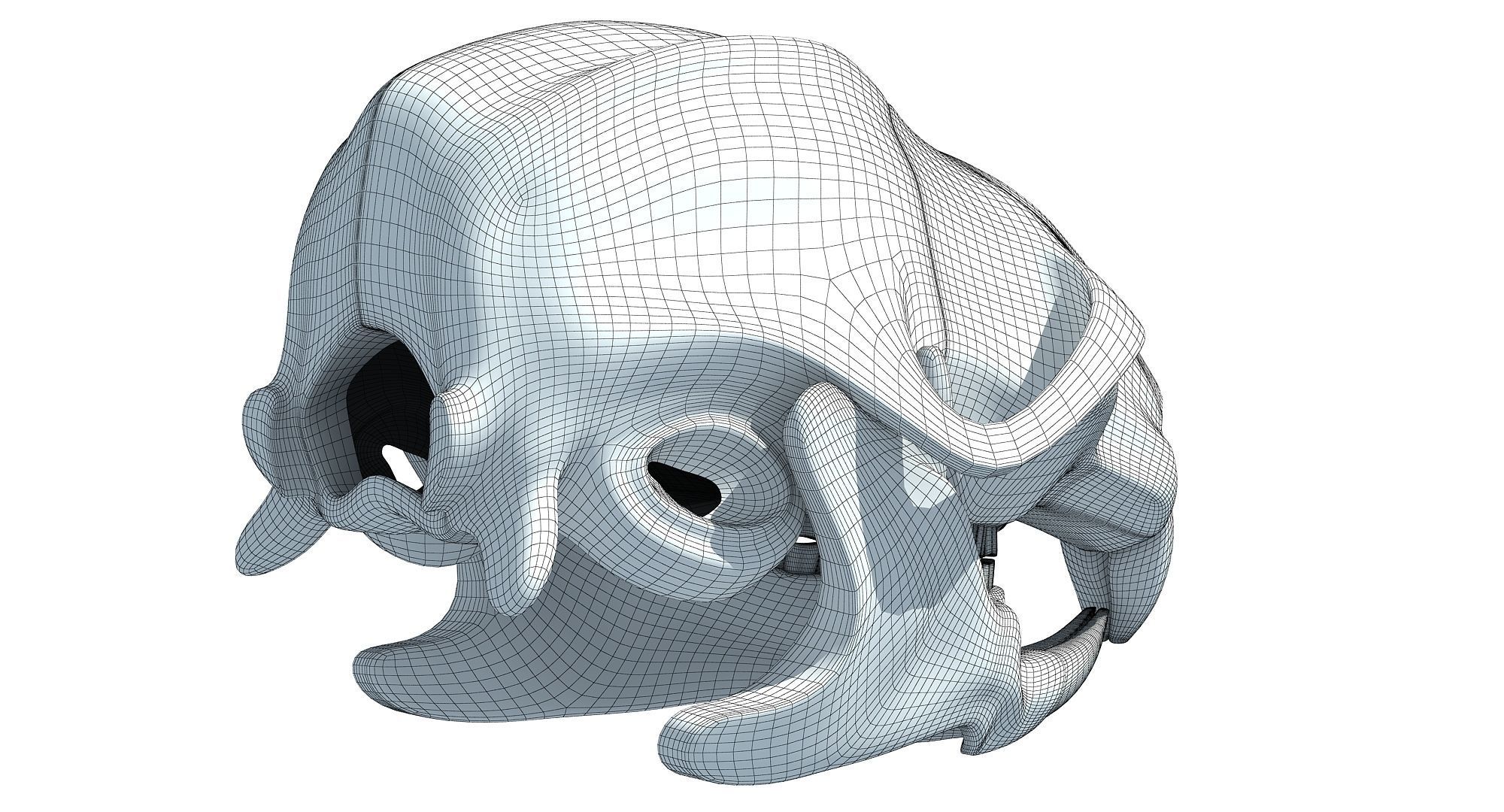 Rat Skull 3D model_11