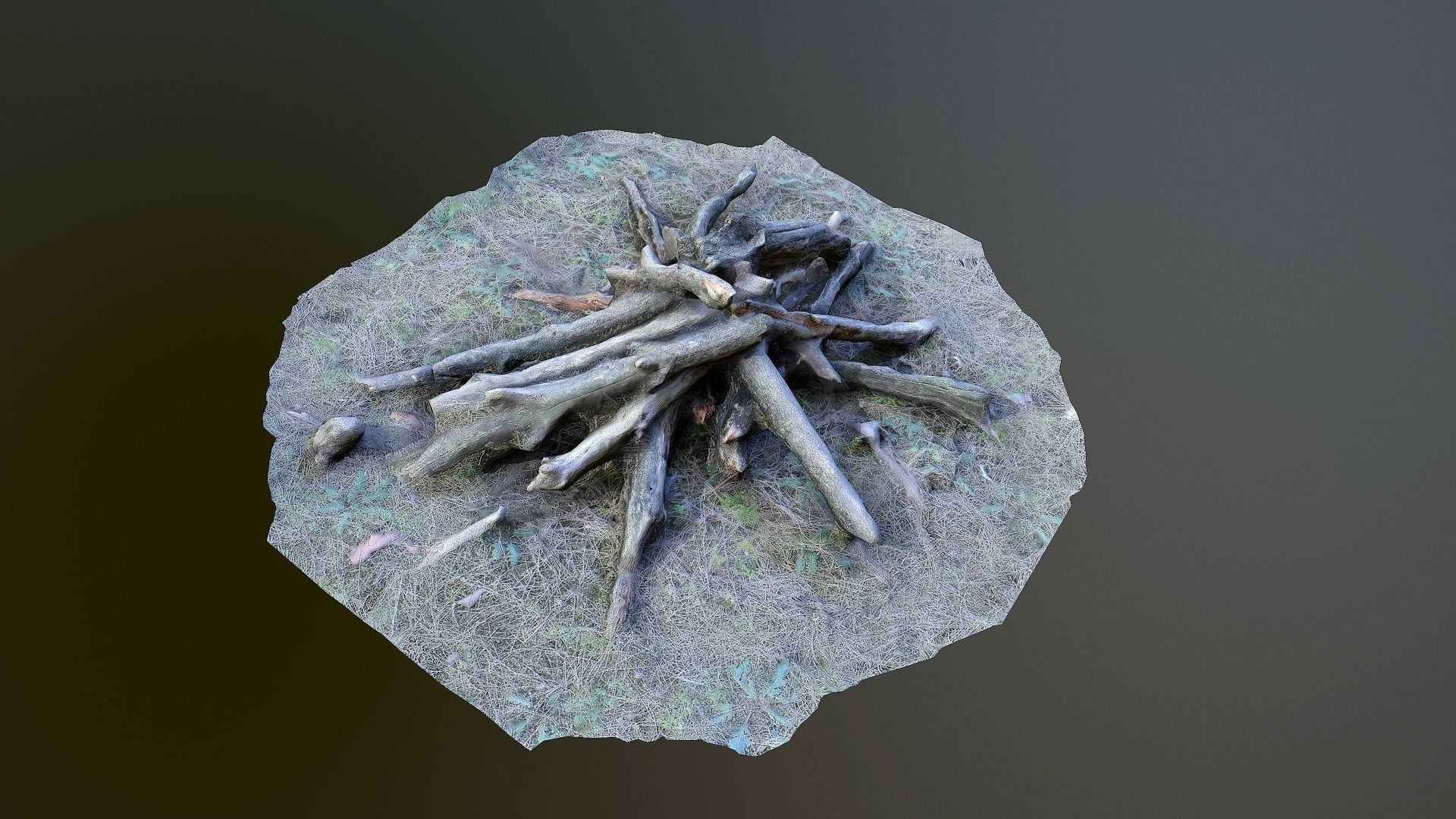 Campfire photoscanned Low-poly 3D model_2