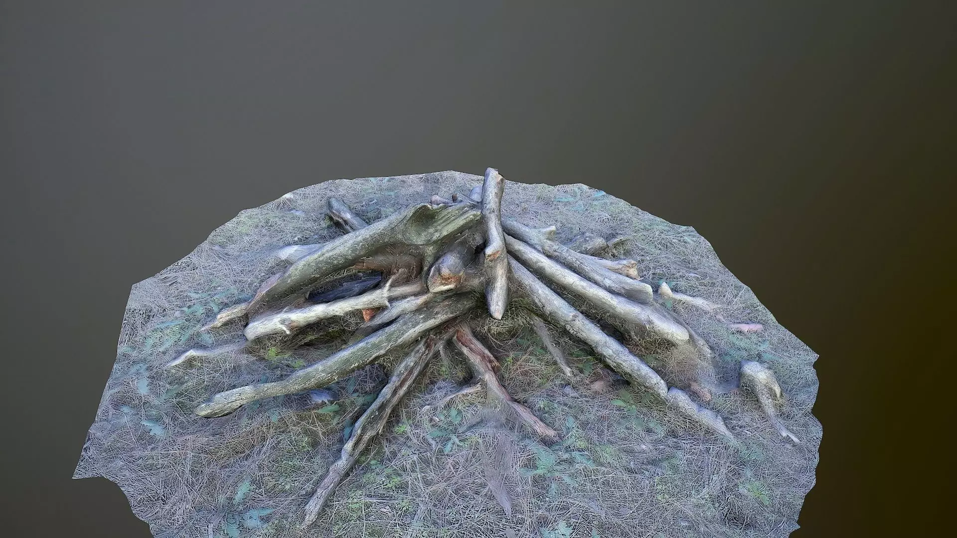 Campfire photoscanned Low-poly 3D model_0