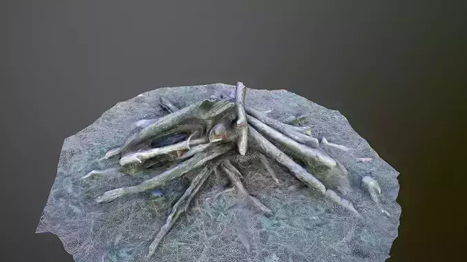 Campfire photoscanned Low-poly 3D model
