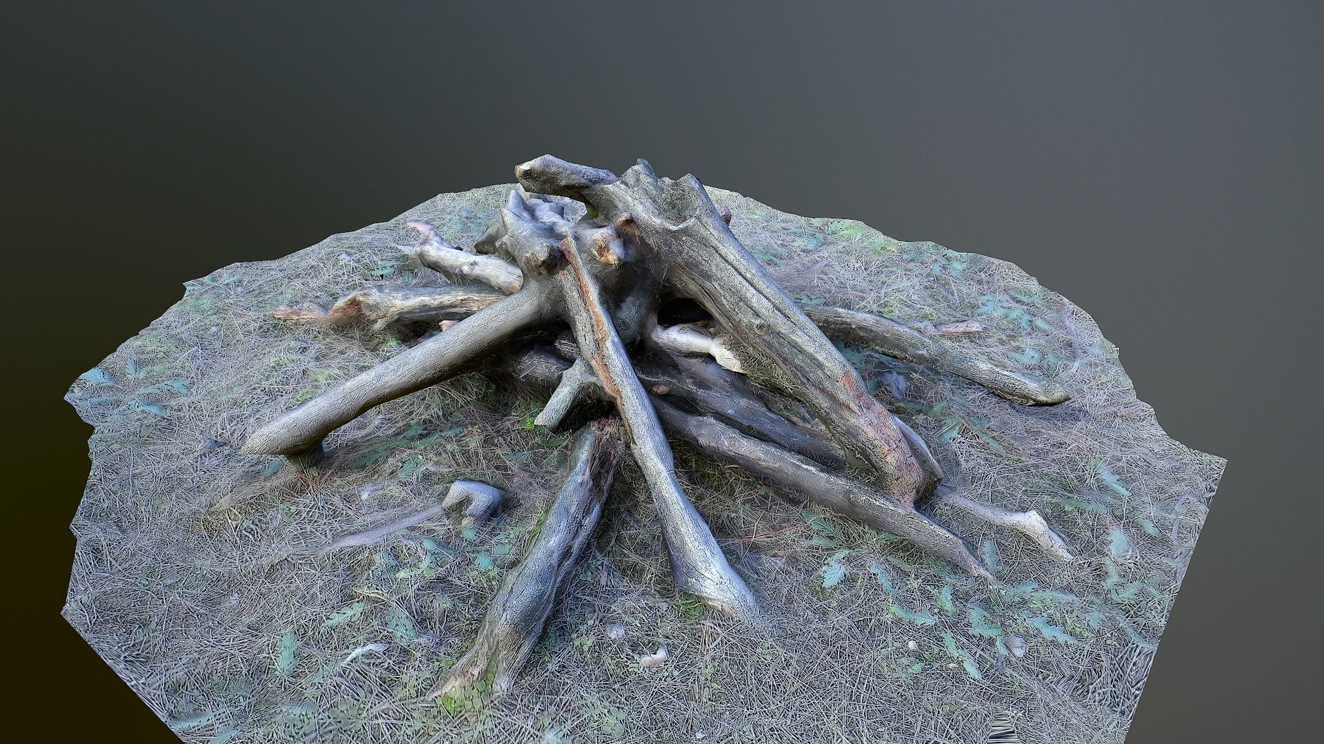 Campfire photoscanned Low-poly 3D model_1