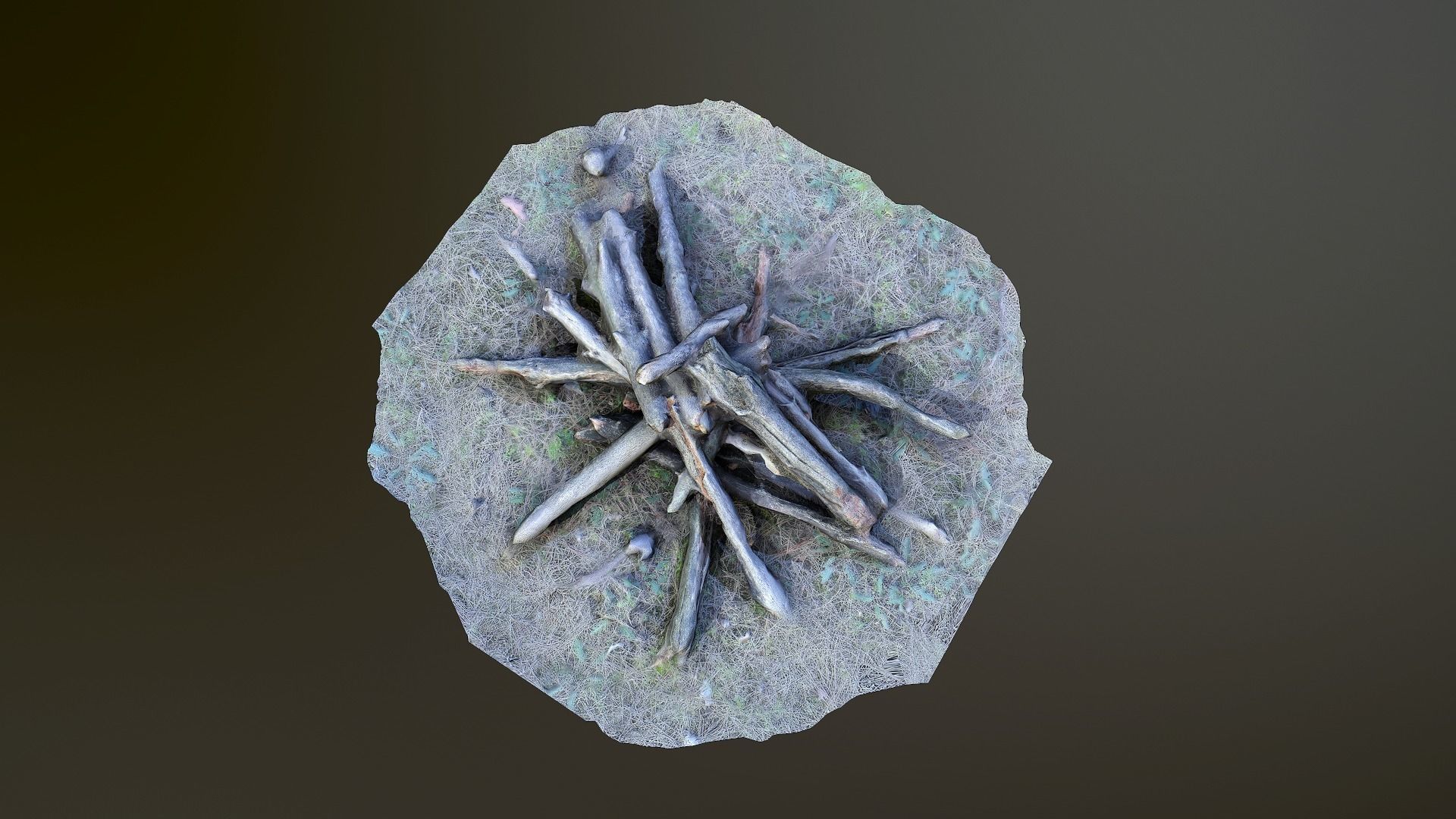 Campfire photoscanned Low-poly 3D model_3