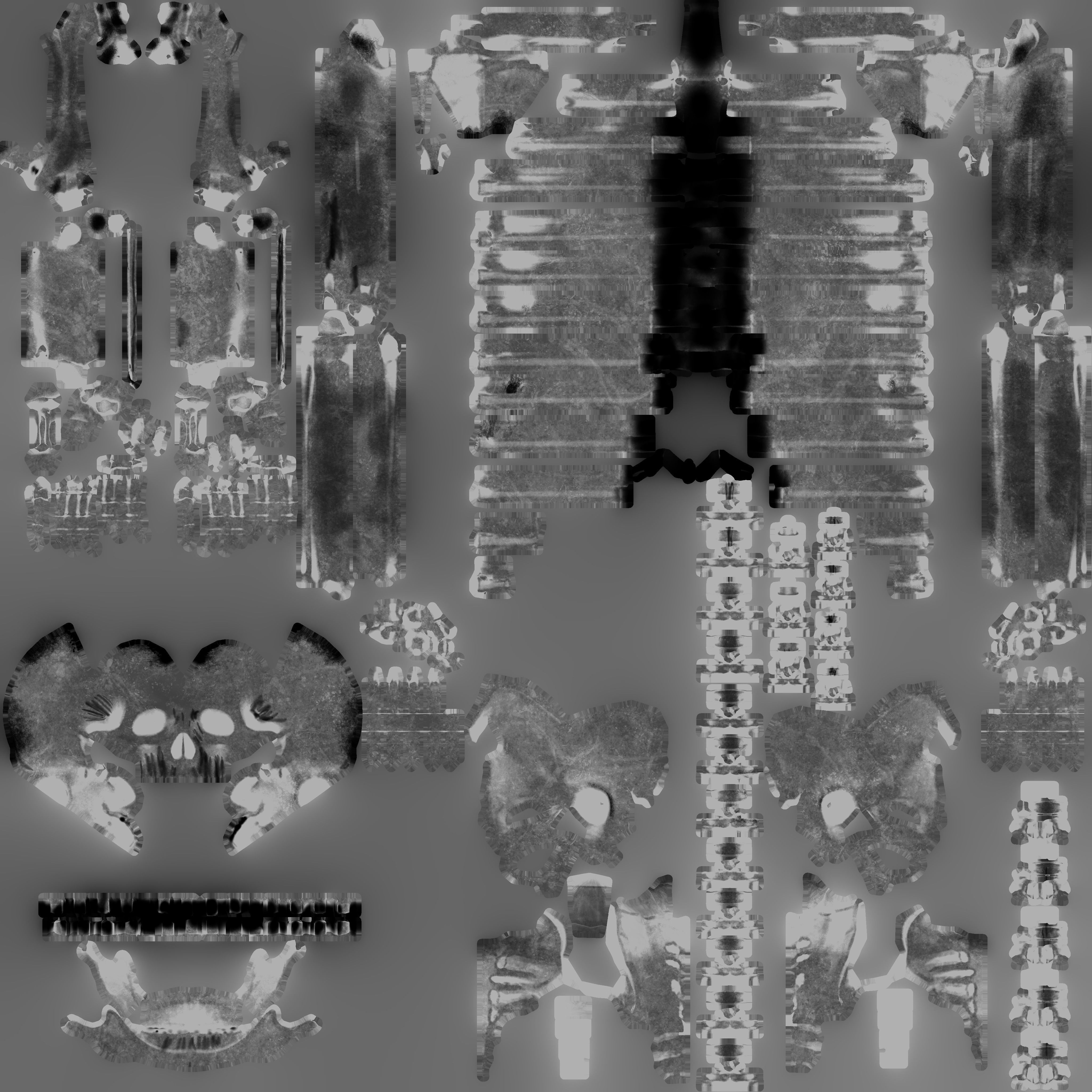 Human Skeleton 3D model_7