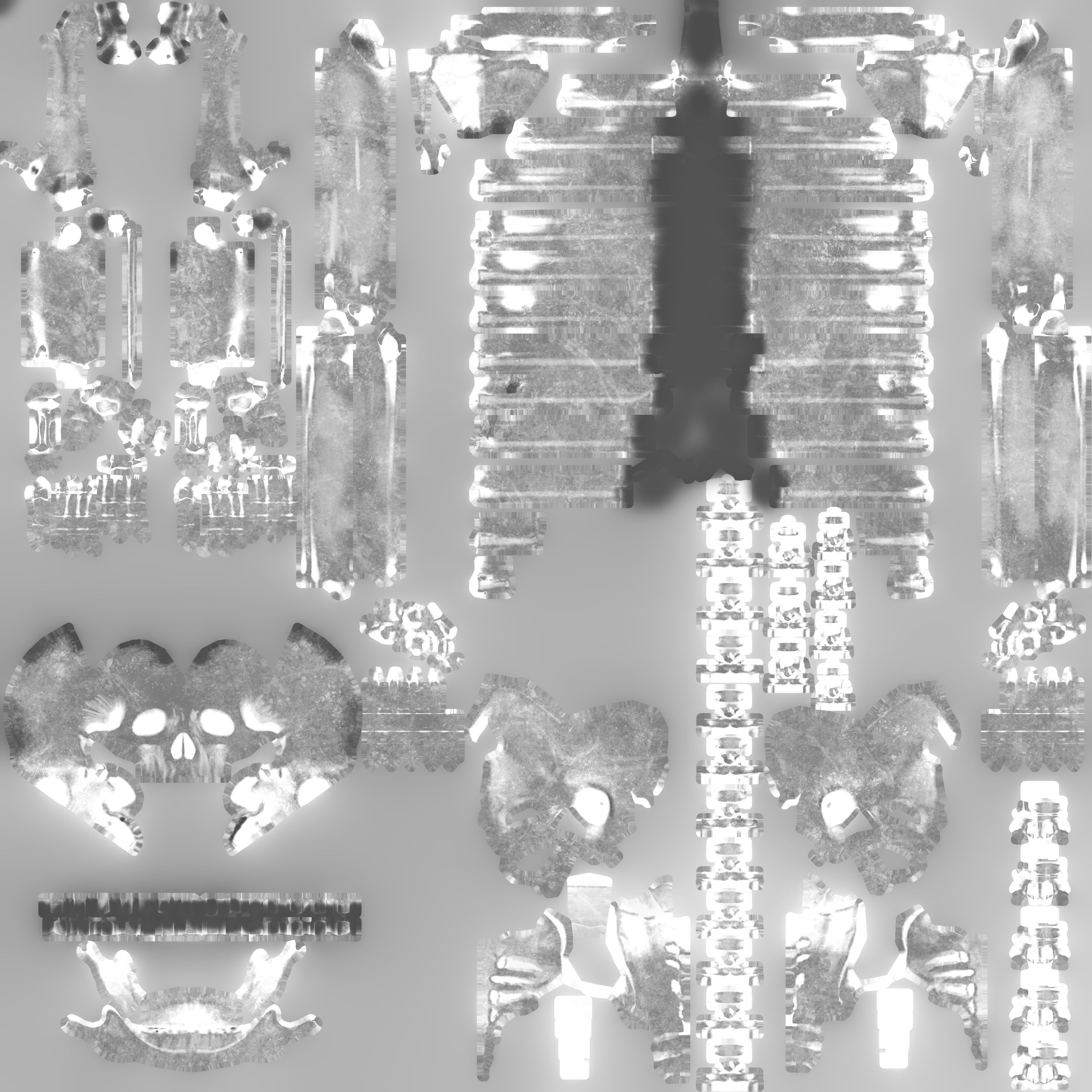 Human Skeleton 3D model_9